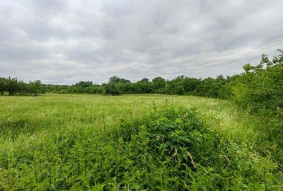 Teren intravilan 18.645 mp in Satul Santamaria de Piatra (sat apartinator Orasului Calan) din Jud HD - 2