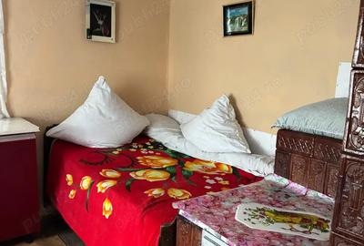 Vand casa in Burlesti