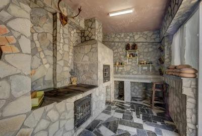 Corbeanca-Laguna Albastra, refugiu exclusivist la lac, vila cu piscina - 14