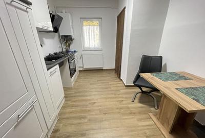 Amenajat complet, mobilat și utilat, totul nou - 11