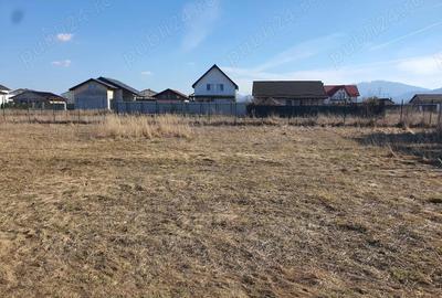 Teren de 435 mp, în Central