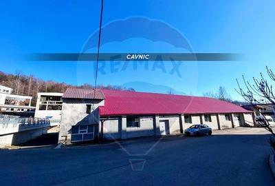 Spațiu industrial, de 647 mp, în Central - 2