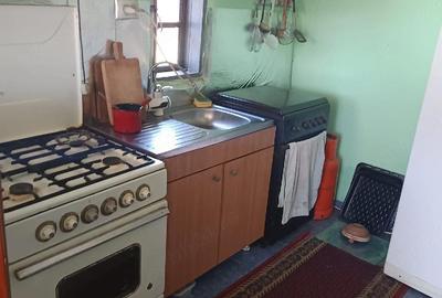 Casă cu Teren 1520 Mp în Frăsinet - 6