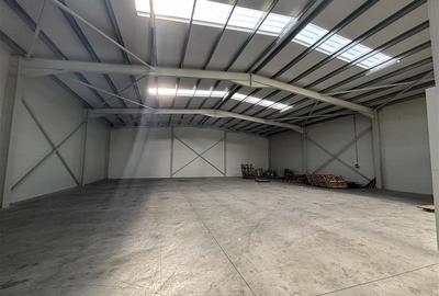 Spațiu industrial, de 580 mp, în Chiajna - 10