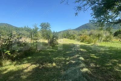 Casă cu 3 camere cu Teren 5755 Mp în Bistra Mureșului - 17