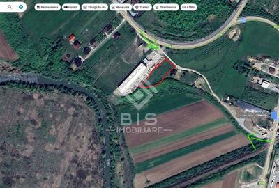 Teren Intravilan - Viisoara - 10