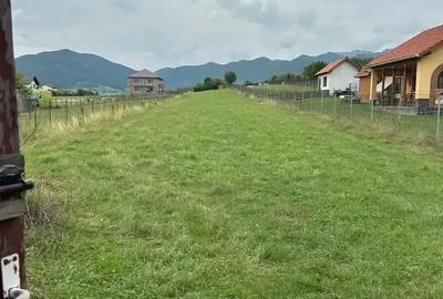 Teren de 2000 mp, în Orlat - 3