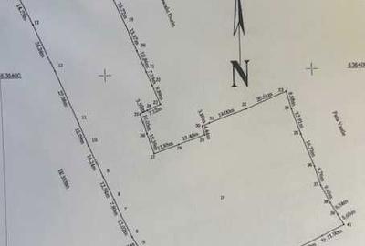 Spațiu comercial, în Panaci - 2