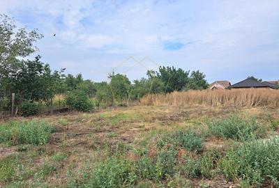 Teren pentru constructii casa cu fundatie turnata I Sag - 2