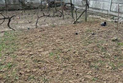 Casă cu 4 camere în Centura - 2