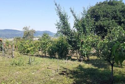 Casă cu Teren 950 Mp în Valea Nucului - 6