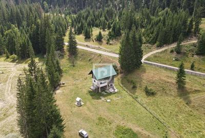 Teren Voronet 4700mp INTRAVILAN | Gura Humorului | Bucovina - 3