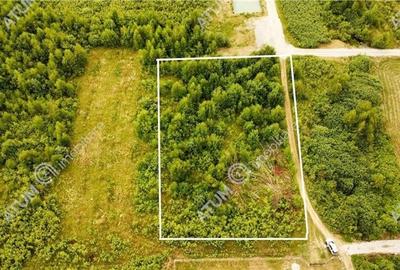 Teren intravilan 3900 mp Porumbacu de Sus, Sibiu - 15