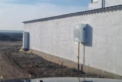 Vanzare Teren intravilan 500mp Cernica Balaceanca Ilfov - 6