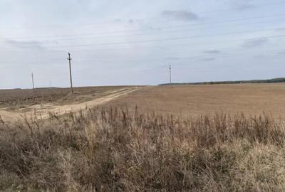 Teren de 5000 mp, în Malu Mare - 2