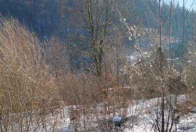 Teren agricol intravilan de 2255 mp, în Central - 1