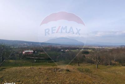 Teren de 3206 mp, în Remetea Chioarului - 5