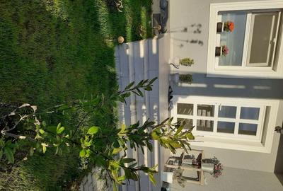 Casă cu 3 camere cu Teren 244 Mp în Vișan - 1