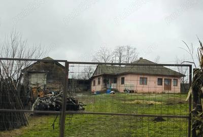 De vanzare gospodarie zona lini?tita, eco, com. Lespezi - 3