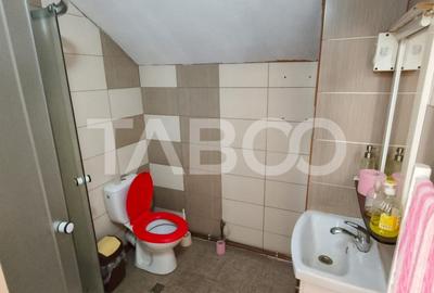 Casa cu curte si gradina de vanzare in Sebes judetul Alba - 3