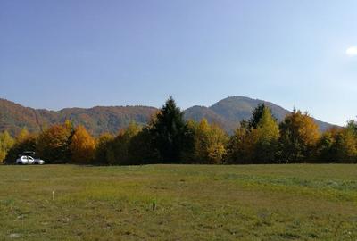 Teren de 2800 mp, în Exterior Vest - 3