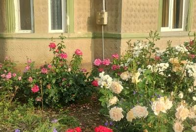 Casă cu 4 camere în Zănoaga - 8