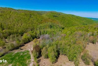 Casă cu 7 camere cu Teren 30200 Mp în Negreni - 8