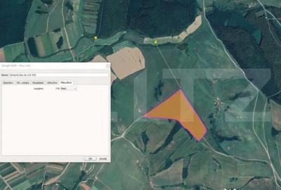 Teren de 243504 mp, în Ardud - 3