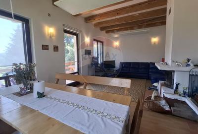 Casa de vacanta in Magura, la poalele Muntilor Piatra Craiului - 6