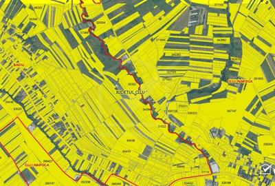 Vanzare Teren, 17000mp, zona Petrom-Lidl, Baciu, opurtunitate investitie - 2