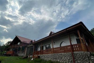 Casă cu 4 camere cu Teren 9999 Mp în Dărmănești - 5
