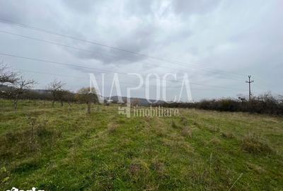 Teren de 2097 mp, în Feleacu