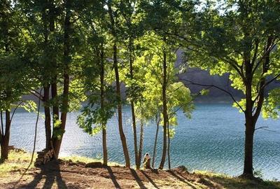 Vanzare teren pentru vila la Lac, Vale Doftanei - 3