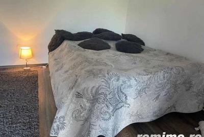 Aleea Carpati - Inchiriere apartament 1 camera - Str. Aleea Carpati - 3