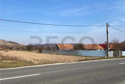 RECO Teren intravilan in Uileacul de Cris 3544mp - 3