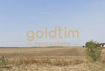 TEREN INTRAVILAN/2500mp/DIMIENI/IDEAL INVESTITIE/PRETABIL CONSTRUCTII TEREN INTRAVILAN/2500mp/DIMIENI/IDEAL INVESTITIE/PRETABIL CONSTRUCTII - 1