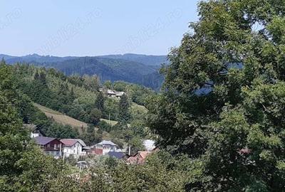 Teren în Voroneț - 4