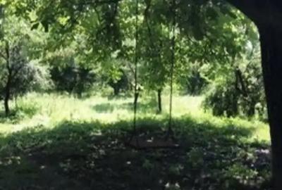 Vand 1200 mp (teren intravilan+ casa), Leu , jud Dolj livada pomi - 7