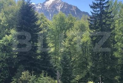 Teren de 2100 mp, în Central - 4