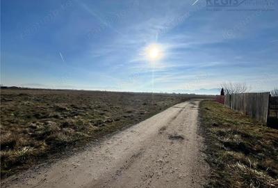 Teren de 1000 mp, în Hărman - 2