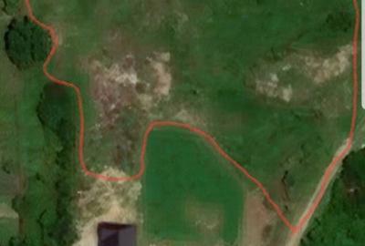 Teren de 7000 mp, în Curtișoara - 2