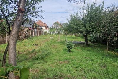 Casă individuală cu 5 camere cu Teren 1000 Mp în Central - 3