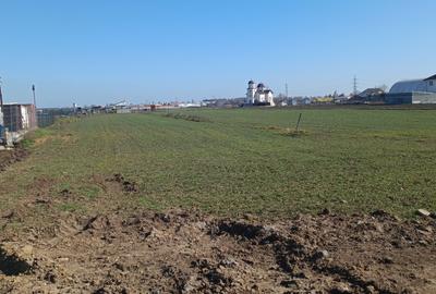 Teren Construcții intravilan de 3000 mp, în Palas - 7