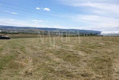 Teren extravilan industrial de inchiriat in Iris, Cluj Napoca - 2