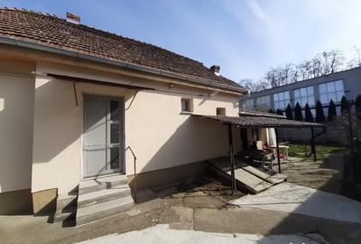 Vand casa particulara pe Gh.Doja, 2 camere, 234 mp teren - 8
