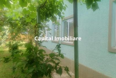 Casa Baicoi zona Schela - 7