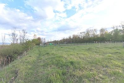 Teren ideal pentru casa de vacanta sau locuinta permanenta, la marginea padurii - 1