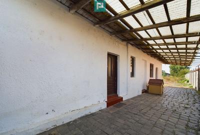 Casa individuala in zona Freidorf, Timisoara - 7