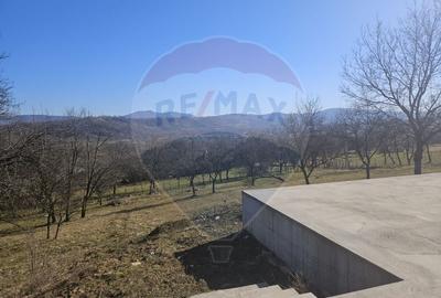 Teren agricol extravilan de 4627 mp, în Giulești - 4