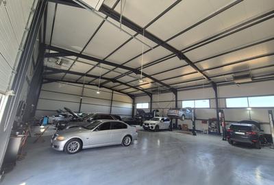 Parc Logistic Nou 2025 – Hale de Vanzare de 600 mp în Chitila-Rudeni - 5